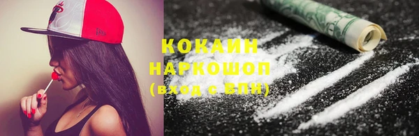 стаф Кинешма