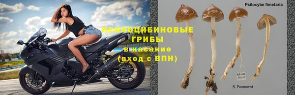 соль ск Киренск