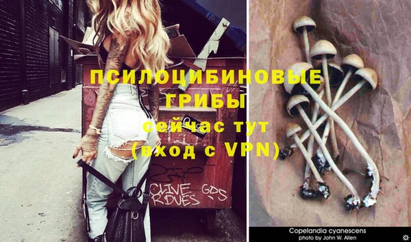 кокаин премиум Касимов