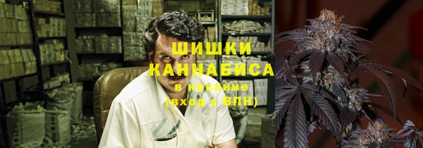 стаф Кинешма