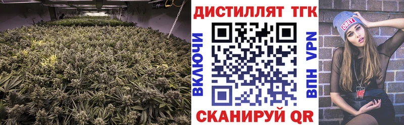ТГК концентрат  сколько стоит  Кирс 