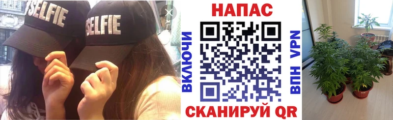Канабис AK-47  OMG вход  Кирс 